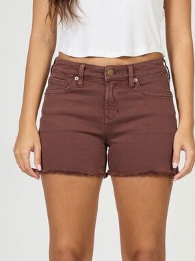 American Eagle High Waisted Shorts